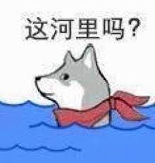 这河里吗？